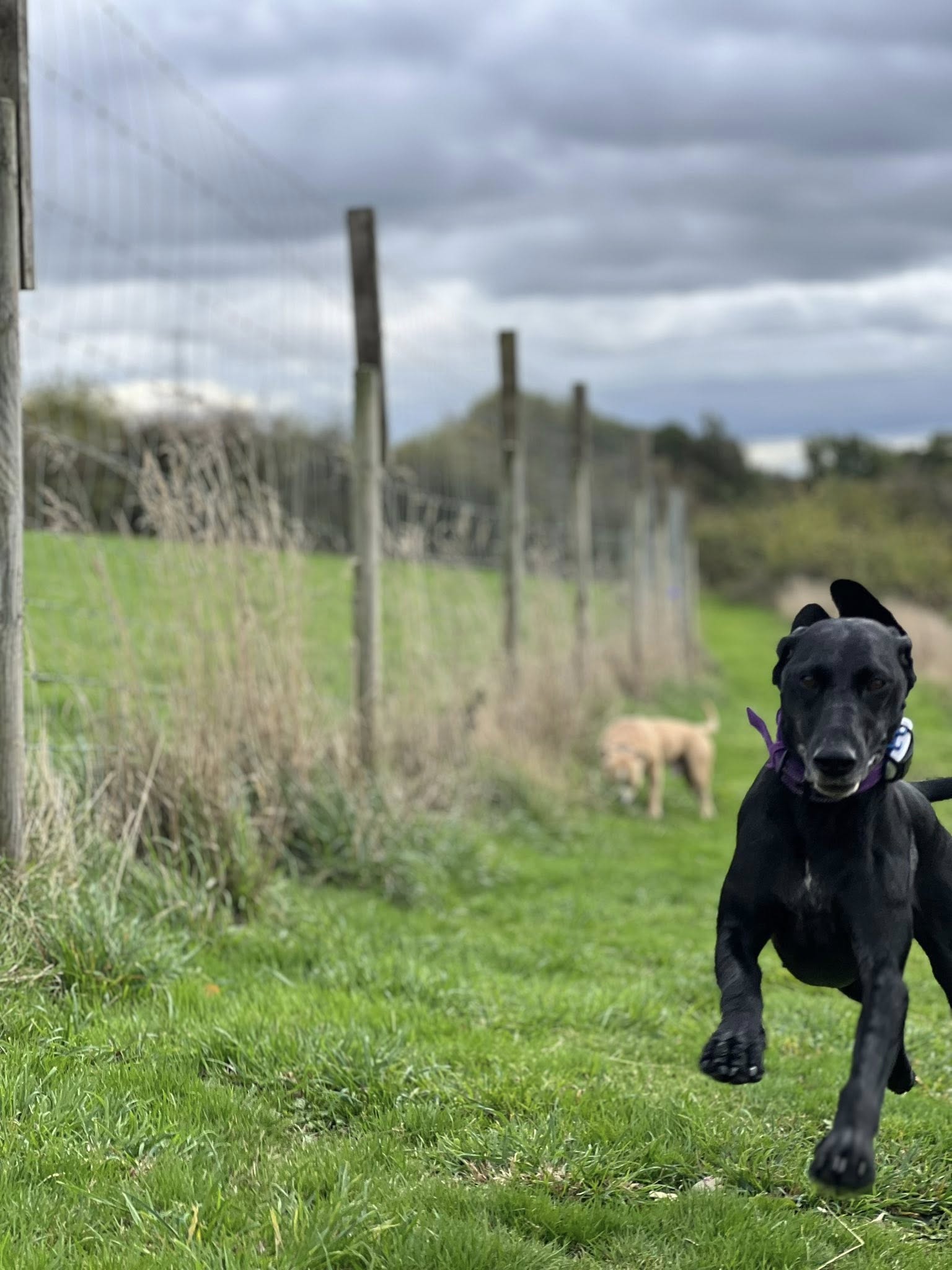 559130741 811189235112731 1324843733421390758 n