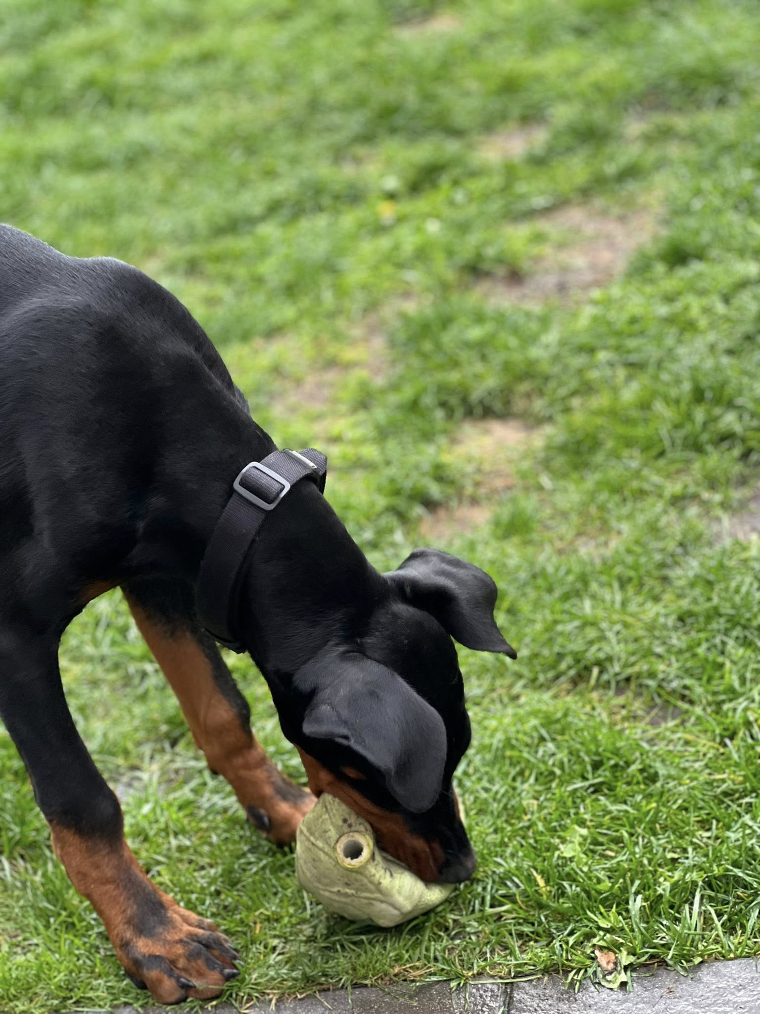 569189312 823770707187917 316975676340090735 n