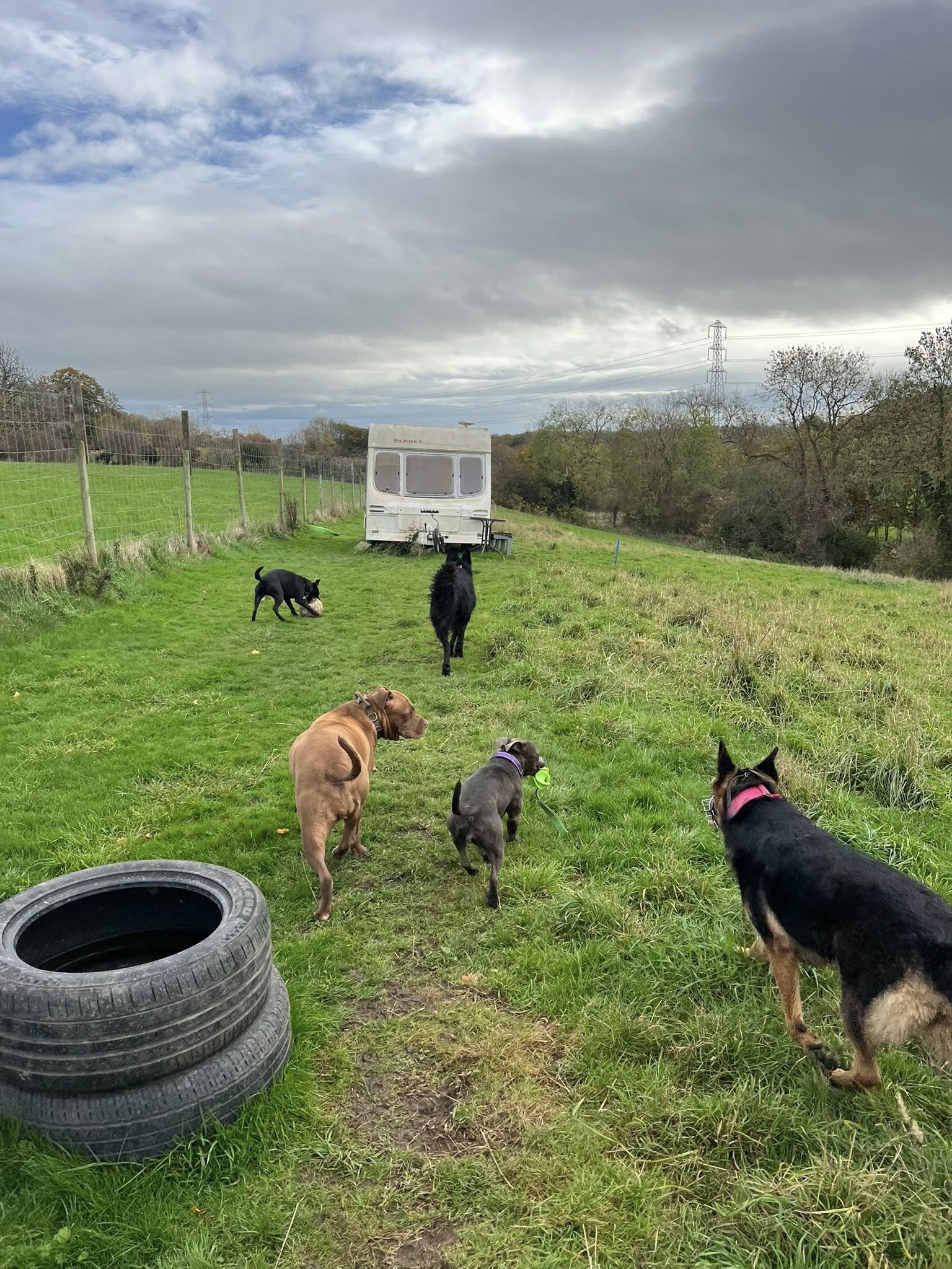 574836280 835782772653377 2666911123063426656 n