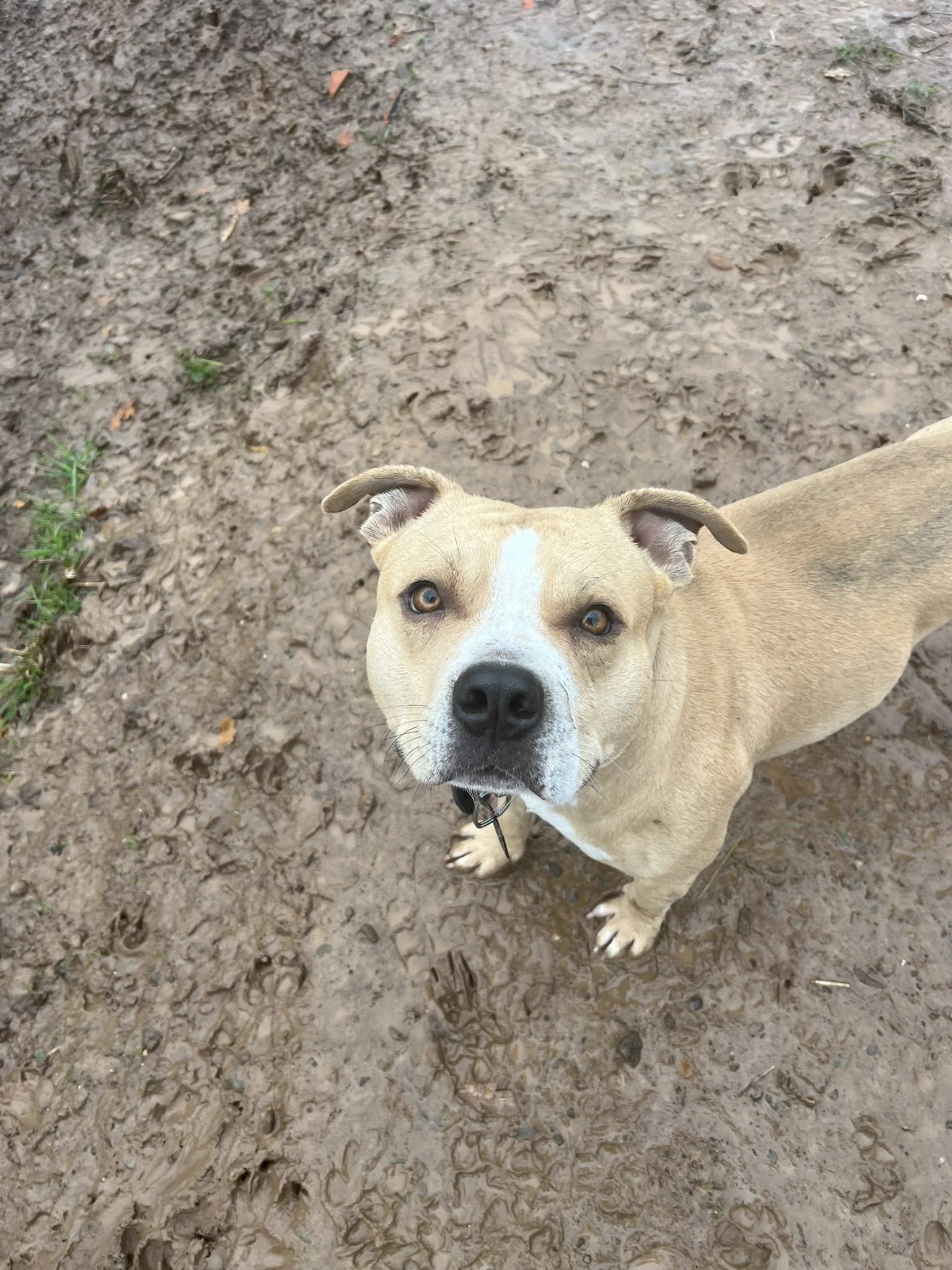 584011856 847219944842993 6357857138173804099 n