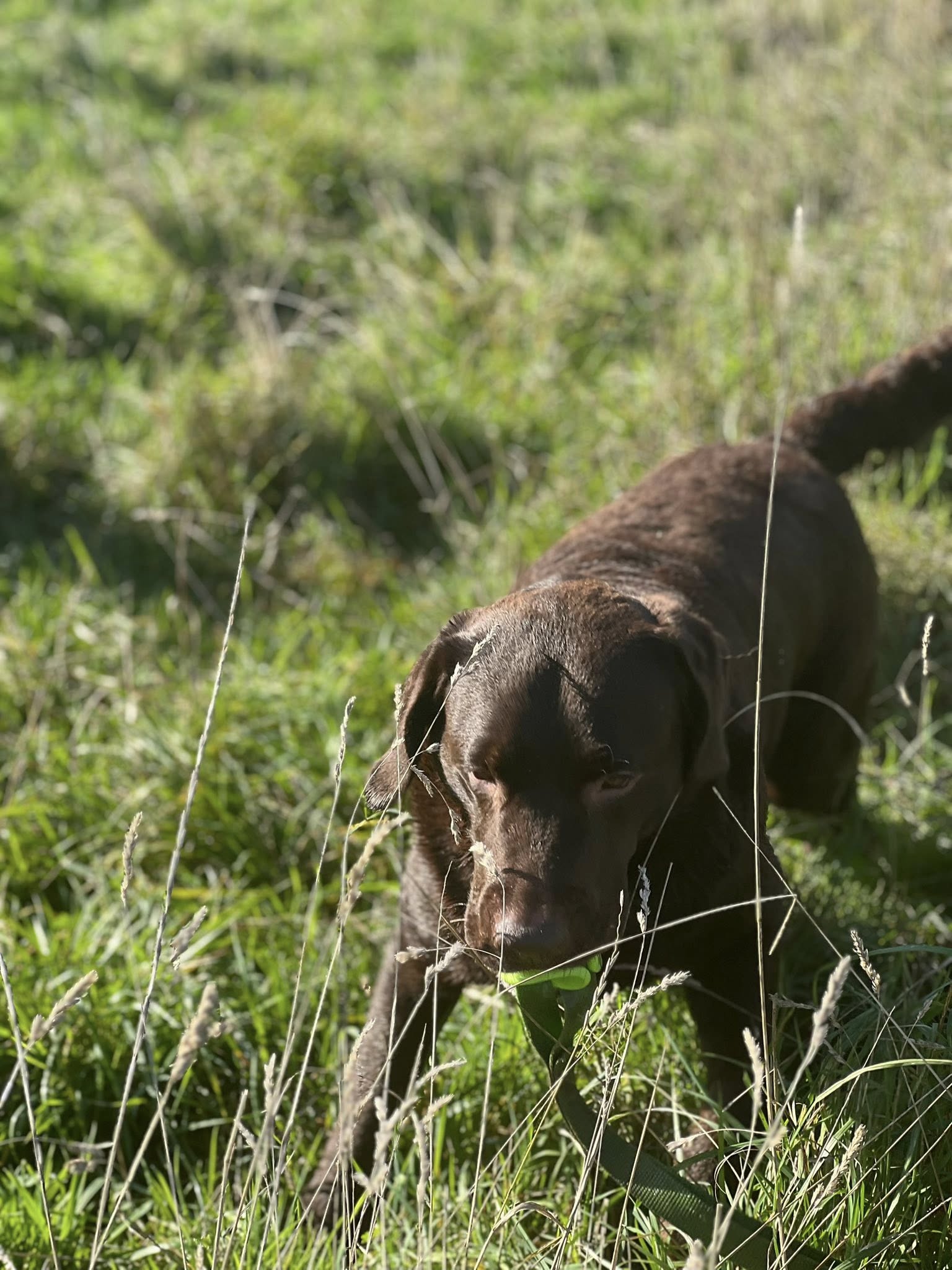 584292768 847220028176318 5584751787713912673 n