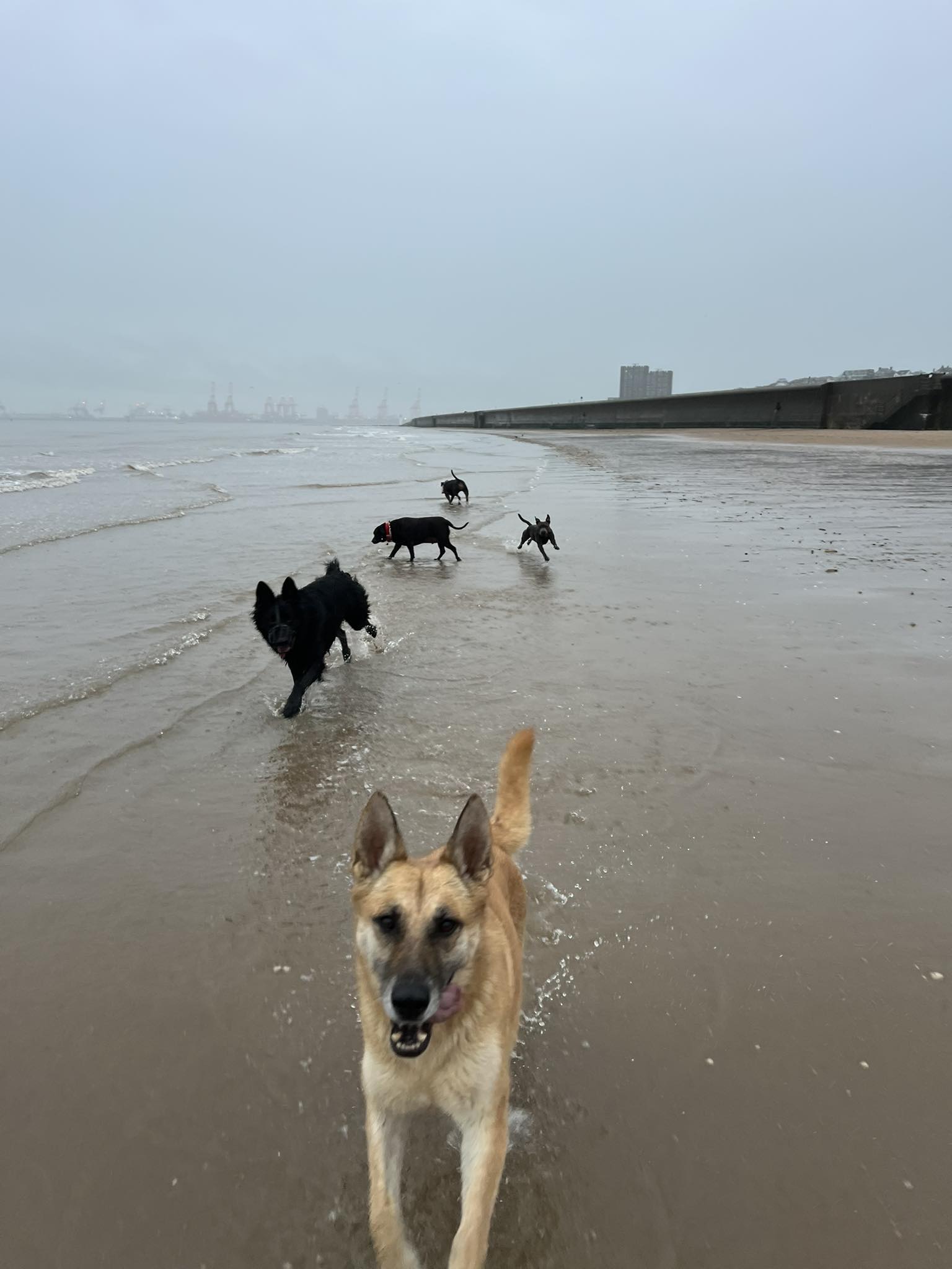 584761674 847217408176580 4626619034222564690 n