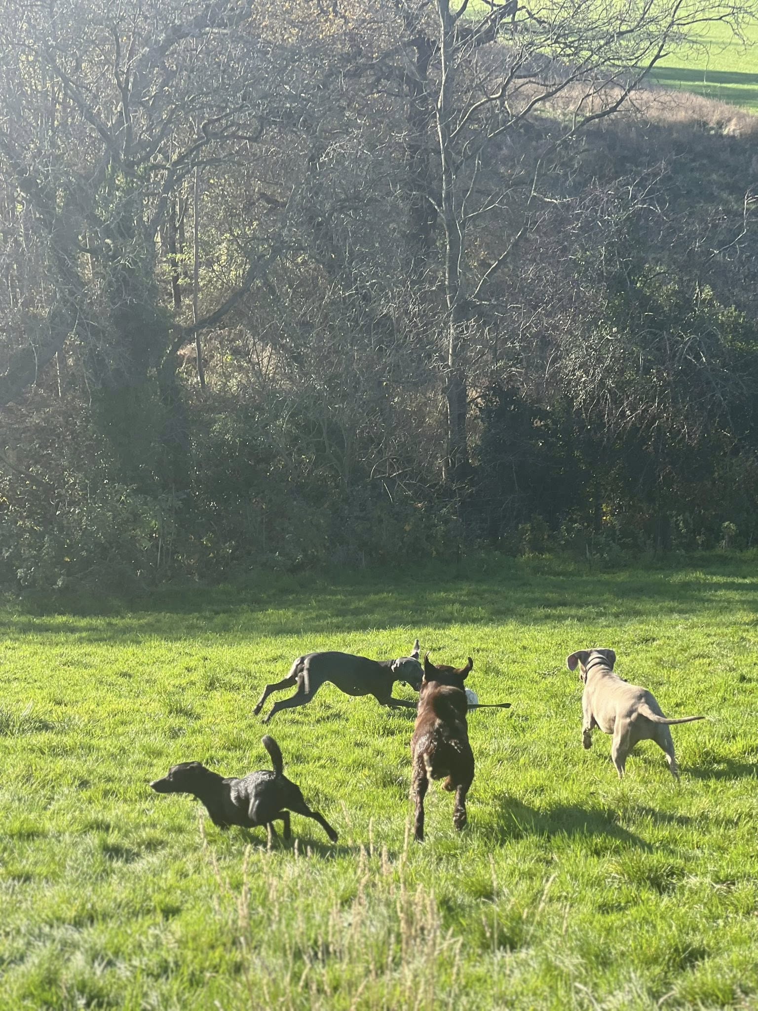 585325162 847219628176358 3585669040711893519 n