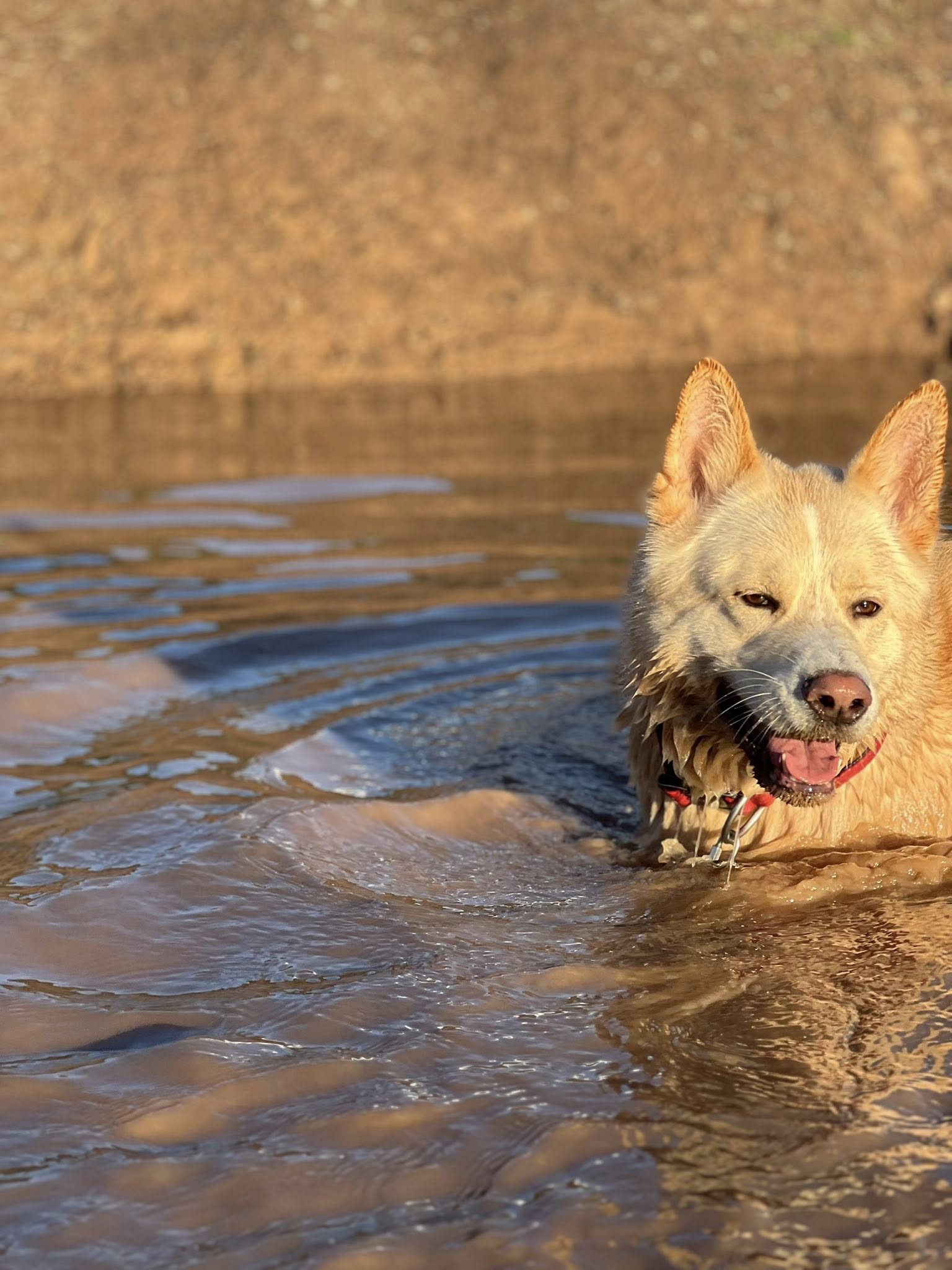 585344668 847219791509675 3168048236465060292 n